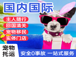 抚远东极航空货运国际宠物托运 【国